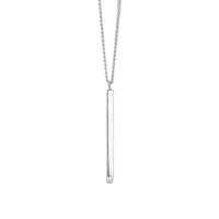 Silverhalsband med stav i pansarkedja.